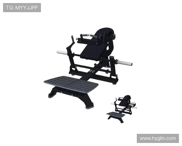 健身器材中针对臀部训练的专业设备推荐