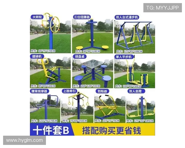 专业级健美训练必备健身器材推荐清单 专业级健美训练必备健身器材推荐清单