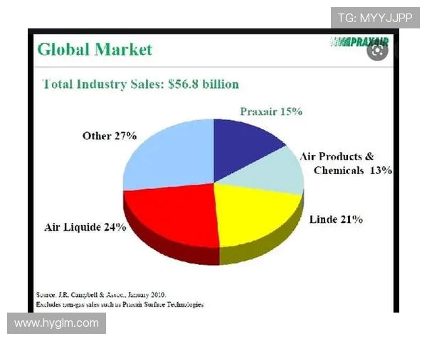 德甲球队平均市值排名及体育经济竞争力分析