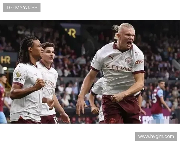 曼城英超球员国籍分布及多样性分析