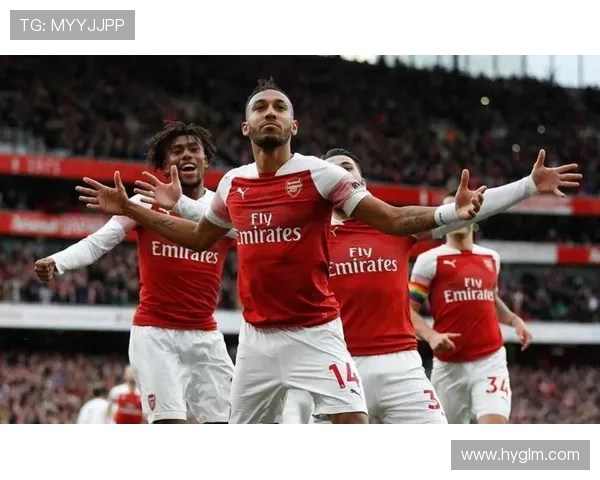 英超球队平均票价与球迷支持度分析 英超球队平均票价与球迷支持度分析