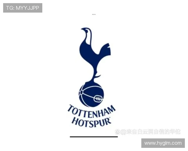 足球财富版图透视意甲英超20强球队市值排名与背后经济实力分析